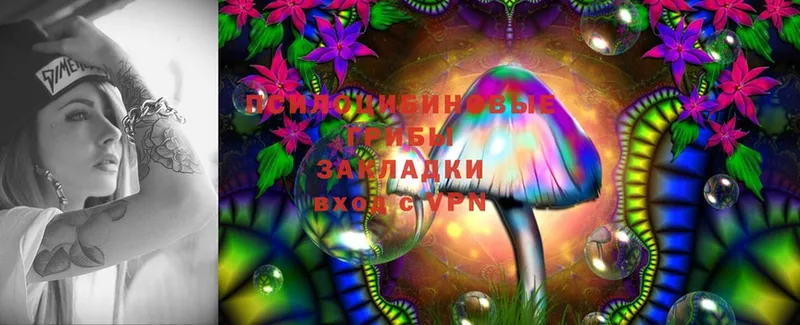 купить  цена  Лобня  нарко площадка клад  Галлюциногенные грибы Psilocybine cubensis 